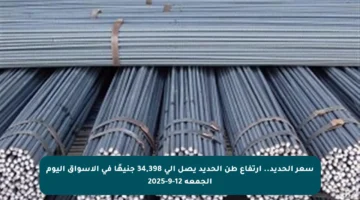 سعر الحديد.. ارتفاع طن الحديد يصل إلى 34,398 جنيهًا في الأسواق اليوم الجمعة 12-9-2025